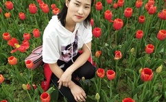 霹雳赛车中文版